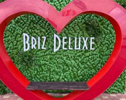 briz_newgallery_18.jpg