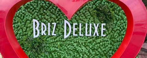 briz_newgallery_18.jpg